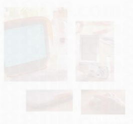 從乾花擺飾到攝影藝術(shù) 探索生活美學(xué)與情感記錄的雙重魅力